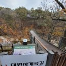 대원사 | 산청 대원사 계곡길 트레킹 후기｜물소리 ASMR 힐링 산책 코스, 왕복 4시간 걷기