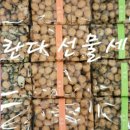 달콤한간식달당 이미지