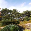 여미지식물원 이미지