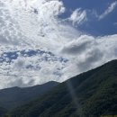 청림펜션 | 밀양계곡 평상대여 청림펜션 후기 취사가능