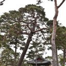 구림마을회관 이미지