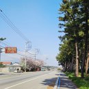 연곡해변 입구 이미지