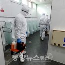 교촌치킨(가락2호점) 이미지