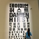 나현약국 | [데이미안 허스트 / 진실은 없어 그러나 모든 것은 가능하지 전시 후기] 생명을 존중하자