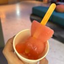 [발리 쿠타] 꾸따 비치워크 숙소 알로프트(ALOFT), 옐로우(YELLO) 비교 및 후기