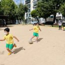 수안체육공원 이미지