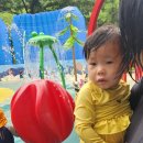 비석골근린공원물놀이장 이미지