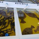 묵호시장 이미지