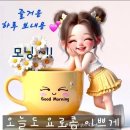 좋은날 Daum카페
