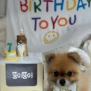 둥글댕글 이미지