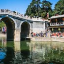 춤으로의 여행 이미지