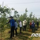 김대식농장 이미지