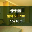 신일부동산중개 이미지
