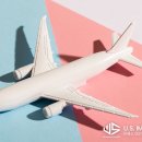 L-1 이미지