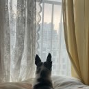 리라동물병원 이미지