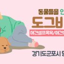 도그비잉 펫케어 이미지