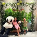 남악2로 22번길 | 남악 실내 아이와 | 어뮤즈스파 식당 푸드코트 포함 후기