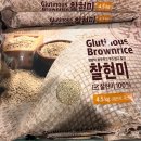월드그린 이미지
