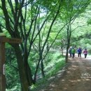 계족산황톳길 이미지