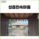 정원똥돼지 | 제주 표선 가볼만한 곳 성읍민속마을 입장료, 관람시간