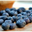 깊은샘블루베리농장 이미지