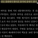 금화안경 | 