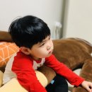 날샘푸드 이미지