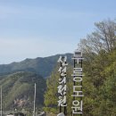 무릉스테이194 | 영월 독채펜션, 무릉스테이194에서 제대로 쉬다 온 후기