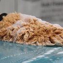 버블셀프세차 이미지