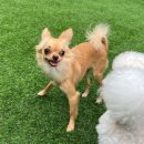 즐거운유치원 이미지