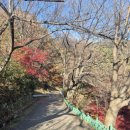 약목평생학습복지센터 이미지