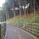 의암 스카이워크 이미지