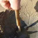 갯벌부흥펜션 이미지