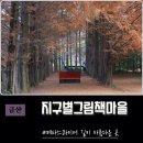 금산지구별그림책마을, 가을 메타스콰이어가 아름다운 공간
