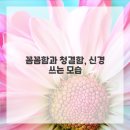 니즈메이드 네이버블로그