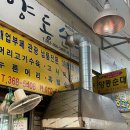 양동머리고기 이미지