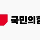 Re: 국민의 힘 당비요약 이미지