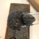 미사강변동로 | 하남떡집 인생 인절미, 미사떡집 미도향 추천 솔직후기