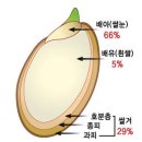 Re: 주석자료: 초가공식품, 정제곡물, 단순당 이미지