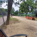 도그,위브 | “기흥레스피아 반려견 놀이터 솔직후기 – 무료인데 이 정도면 괜찮다!”