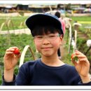 준상농장 이미지