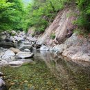 어천계곡 네이버블로그
