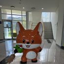 인삼박물관 | [영주] 영주 인삼 박물관 40개월 11개월 아기랑 다녀온 후기