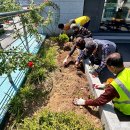 치매안심센터 이미지