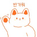 와규1262 이미지