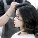 헤어담당 Daum카페
