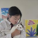 이쁘면다냥 이미지