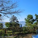 꽃향기 바다내음 이미지