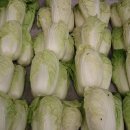 작은농원 이미지