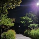 부안 애뜰 펜션 | 부안 애견동반+한달살기 가능, 뷰 좋은 황토펜션 부안애뜰